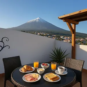 drago-nest-hostel.in-canary-islands.com/